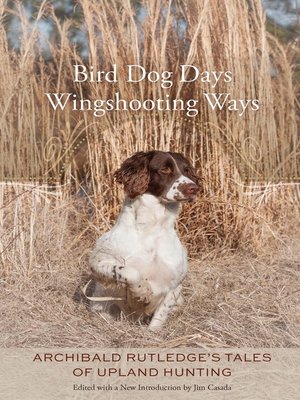 cover image of Bird Dog Days, Wingshooting Ways